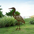 Escultura de Jardim - Garça