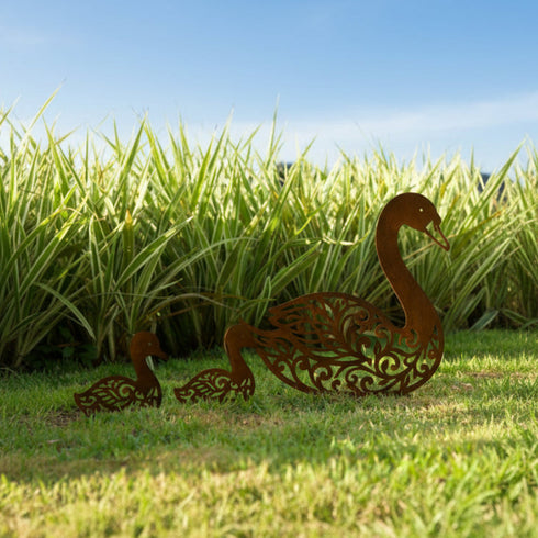 Escultura de Jardim - Cisnes