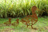 Escultura de Jardim - Patos
